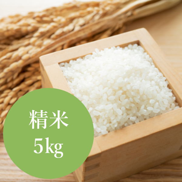 丹精米て！精米5㎏